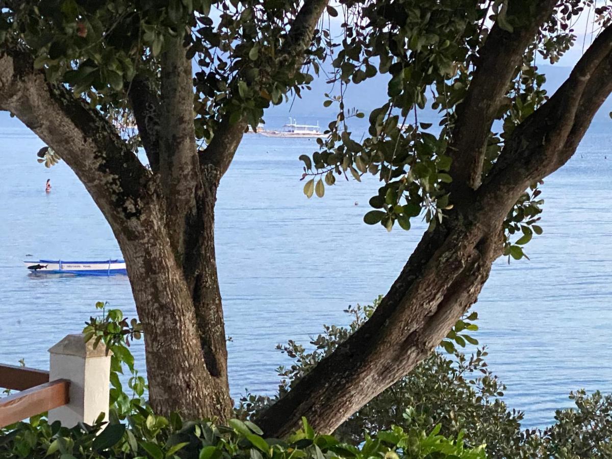 Pescador View - Beachfront & Nearby The Ocean Hostels & Restaurant מואלבואל מראה חיצוני תמונה